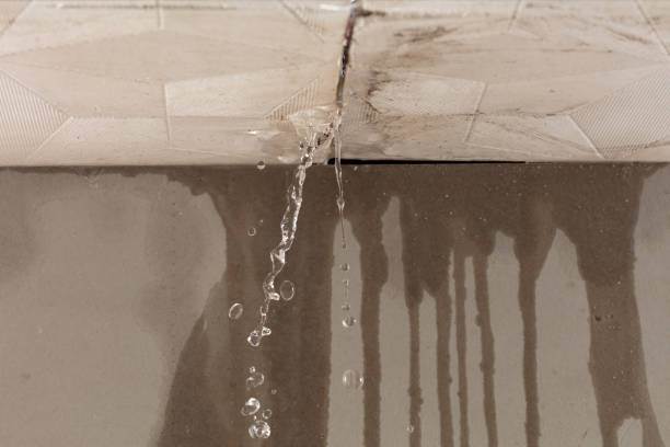 Professional Burst Pipe Cleanup technician working in New Munich, MN